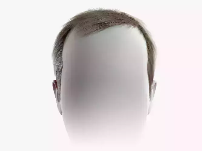 Realtime Mens Hairstyle 2 Low-poly 3D model