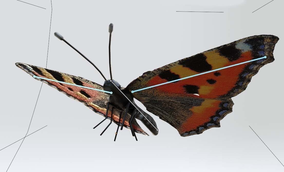 Butterflies Collection - 24 Rigged Low-Poly Butterfly Models Low-poly 3D model_4