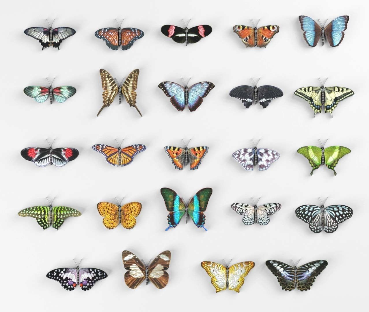 Butterflies Collection - 24 Rigged Low-Poly Butterfly Models Low-poly 3D model_1