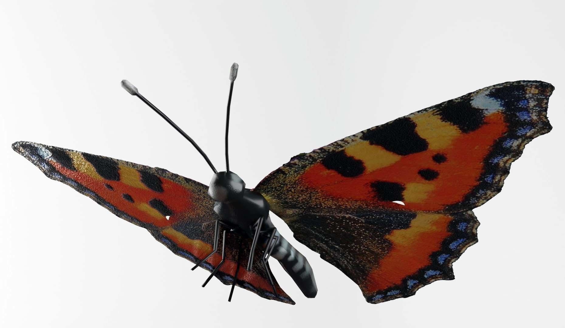 Butterflies Collection - 24 Rigged Low-Poly Butterfly Models Low-poly 3D model_3