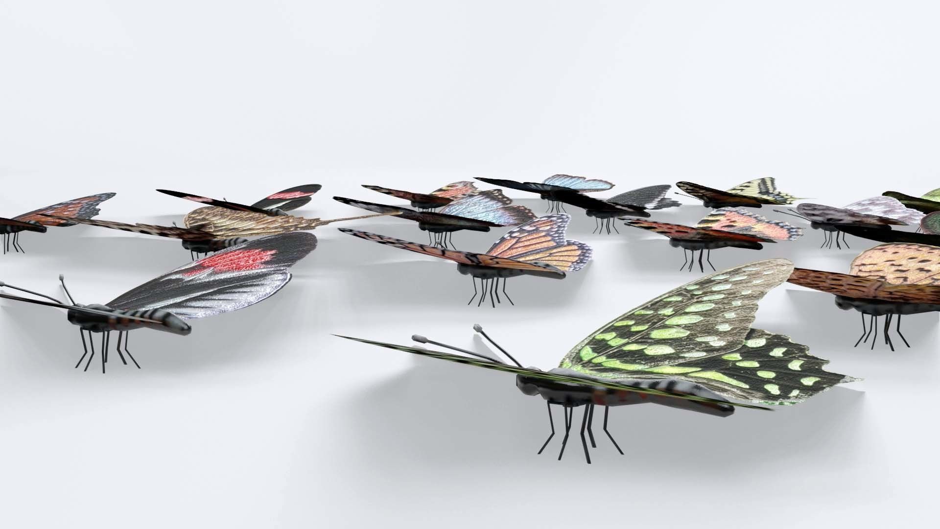 Butterflies Collection - 24 Rigged Low-Poly Butterfly Models Low-poly 3D model_2