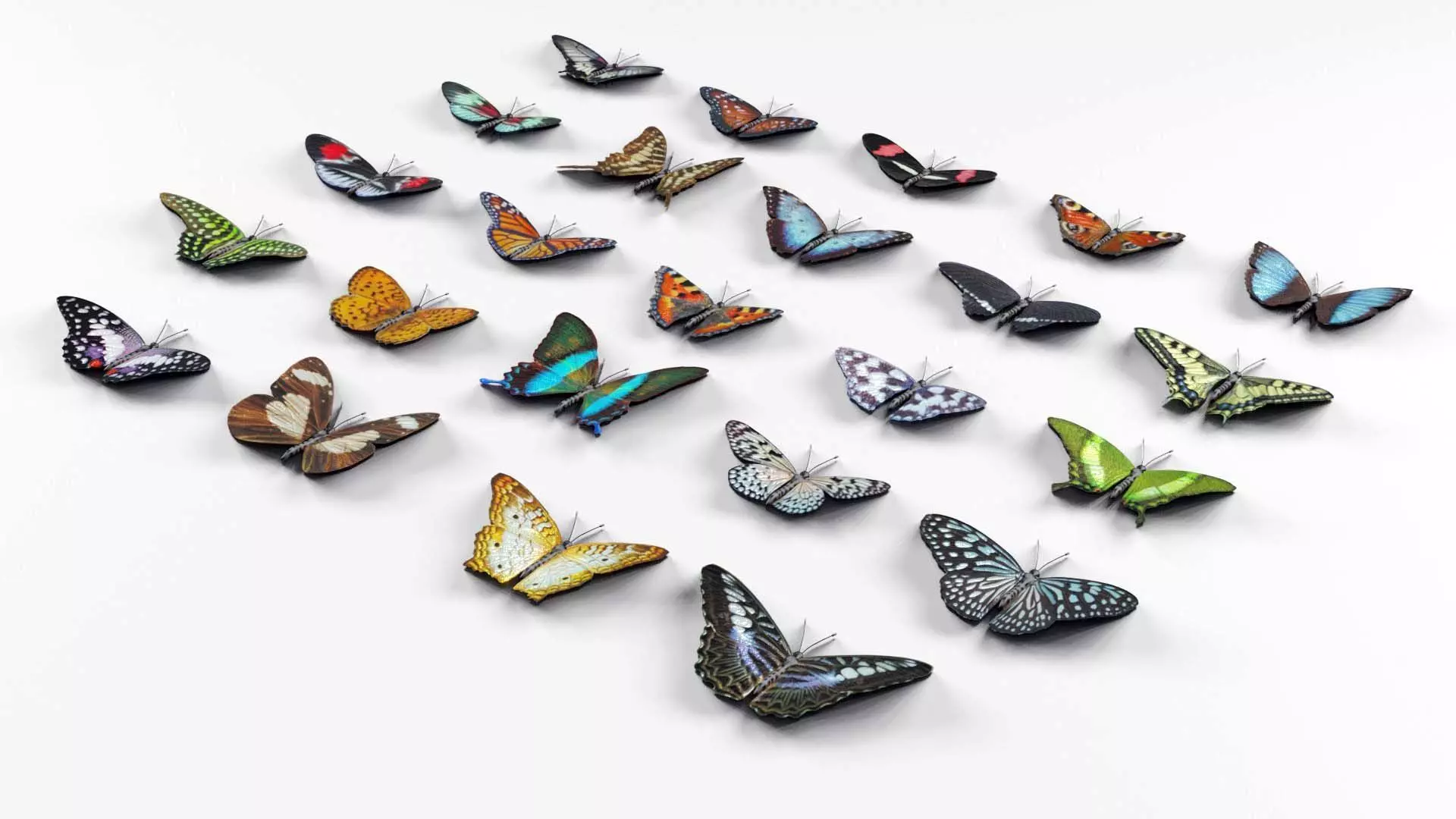 Butterflies Collection - 24 Rigged Low-Poly Butterfly Models Low-poly 3D model_0
