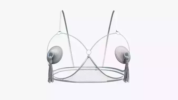 Lingerie bra with two straps 3D model