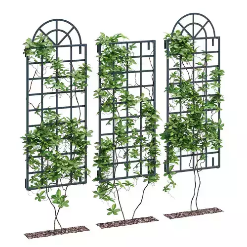 Wall trellis one