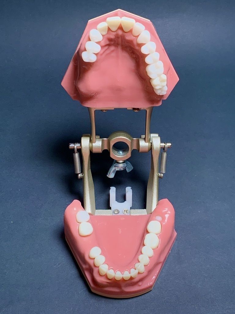 D005 Mold for making silicone gum of Oral surgery model 3D print model_2