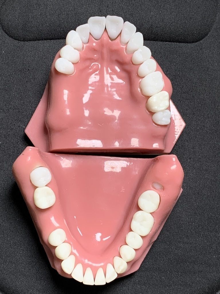 D005 Mold for making silicone gum of Oral surgery model 3D print model_4