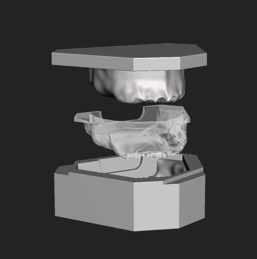 D005 Mold for making silicone gum of Oral surgery model 3D print model_0