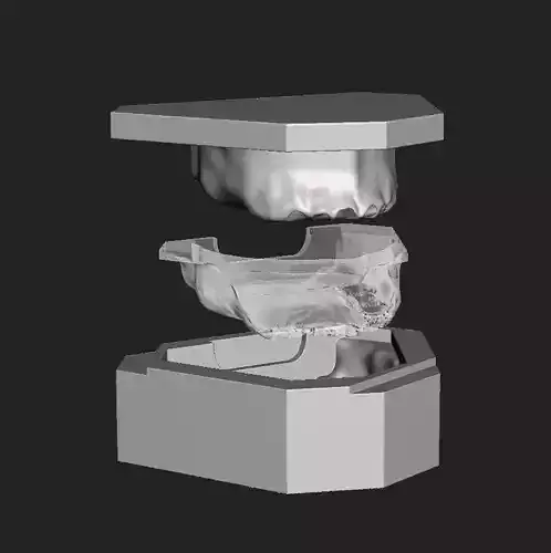 D005 Mold for making silicone gum of Oral surgery model 3D print model