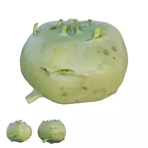 Kohlrabi vegetable