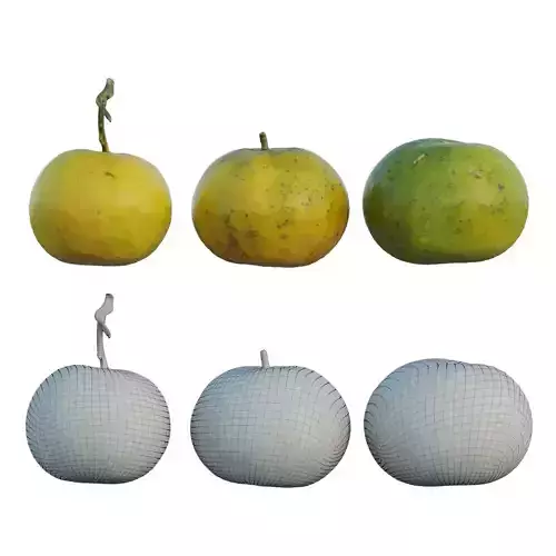 oranges 04 3D model