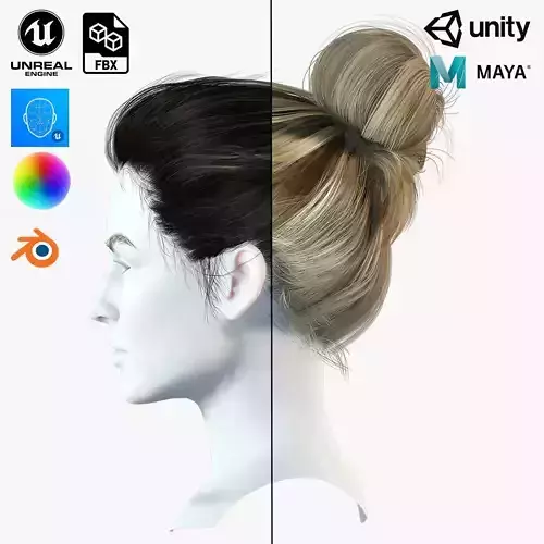 Realistic Female hair 8 Low-poly 3D model