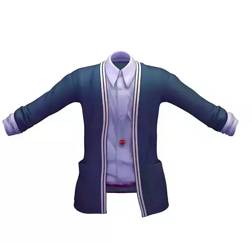 Cartoon High Poly Subdivision Blue Jakets Shirt 3D Model Low-poly 3D model