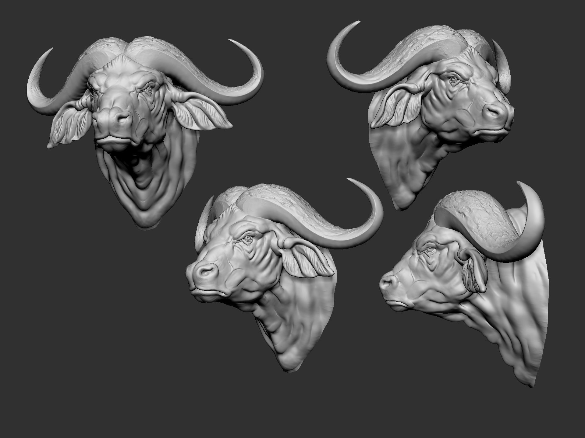 African Buffalo head wall sculpture 3D print model_4