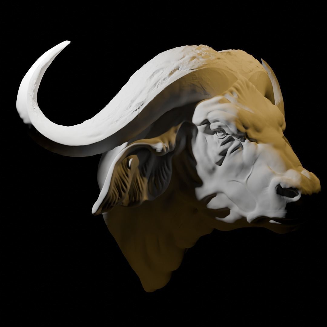 African Buffalo head wall sculpture 3D print model_3