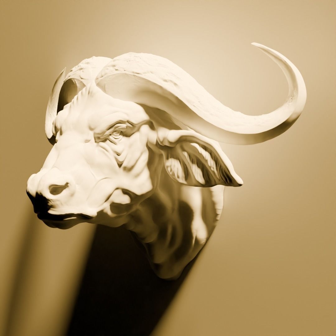 African Buffalo head wall sculpture 3D print model_2