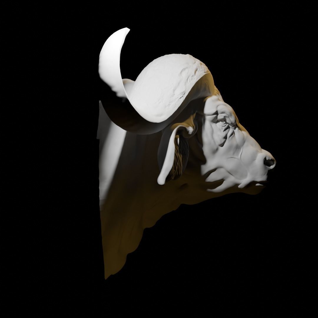 African Buffalo head wall sculpture 3D print model_1