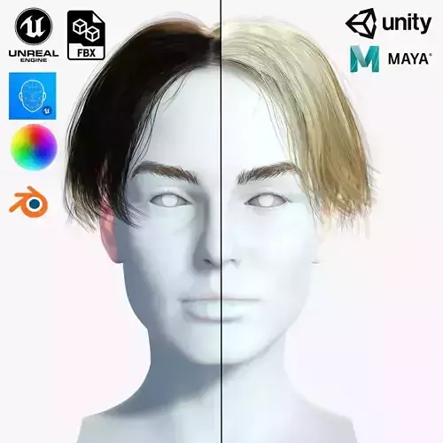 Realistic Female hair card 12  Low-poly 3D model