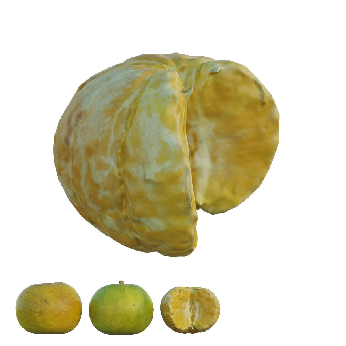 oranges 06 3D model_2