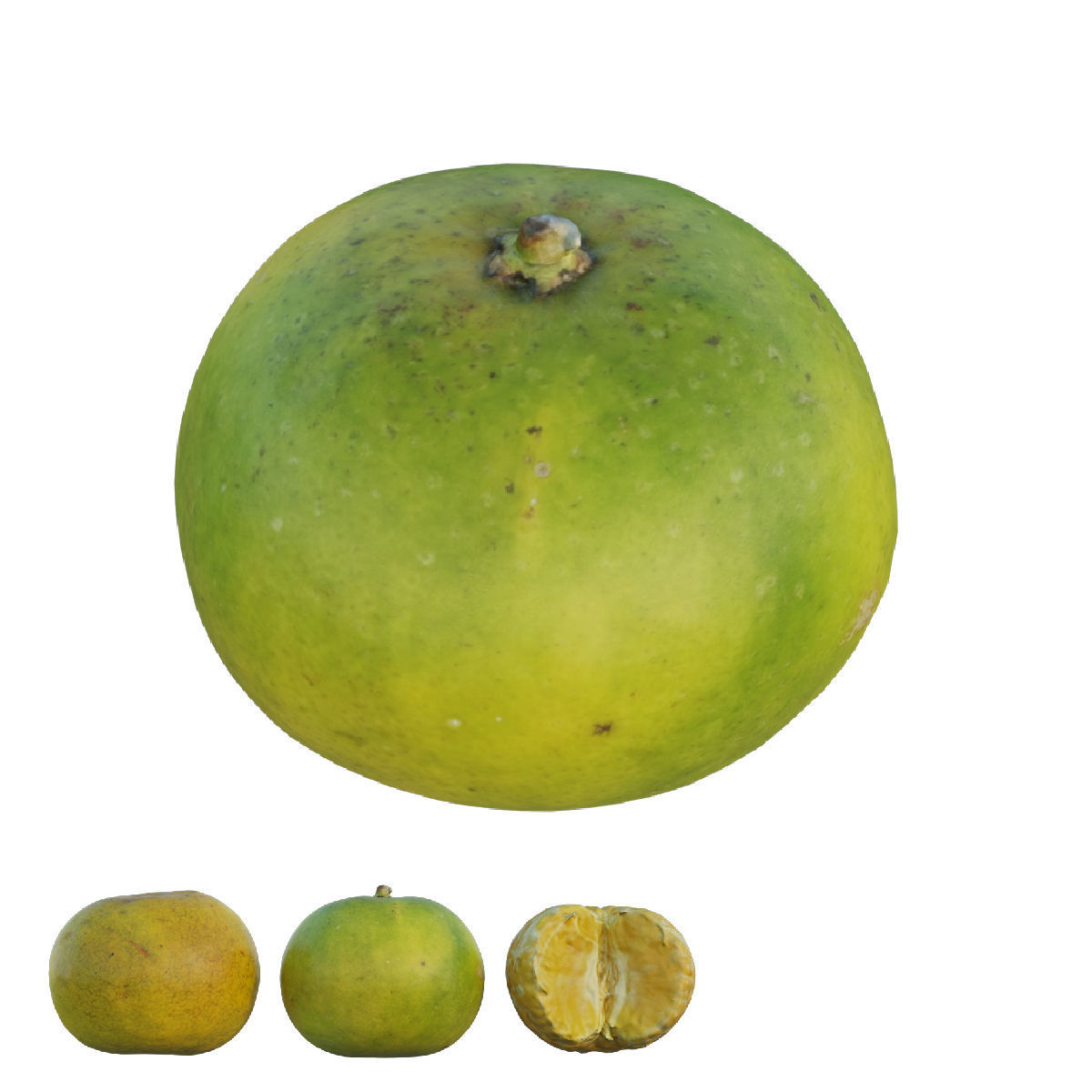 oranges 06 3D model_1