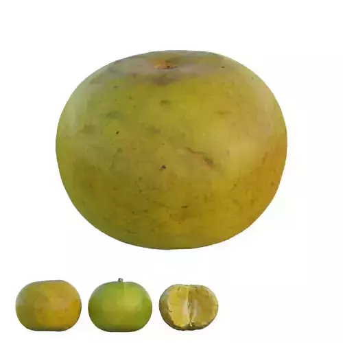 oranges 06 3D model