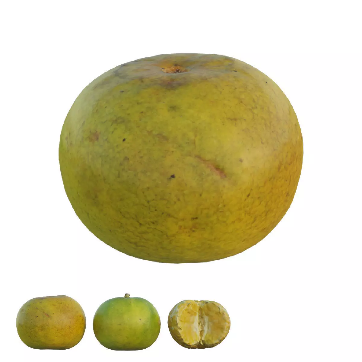 oranges 06 3D model_0