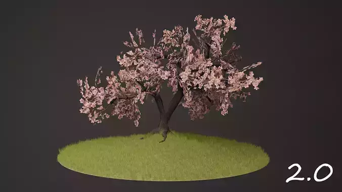 sakura tree