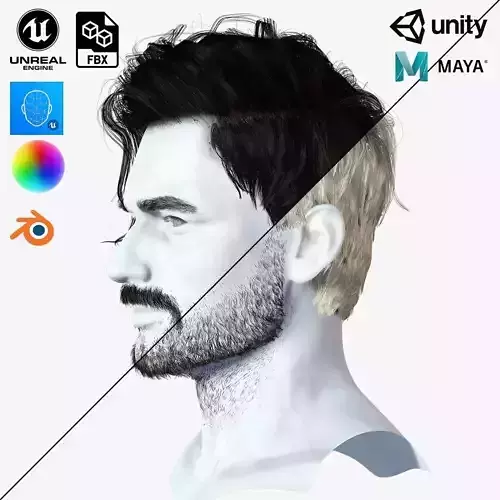 Realistic Hair Beard brows mustache p6 Low-poly 3D model
