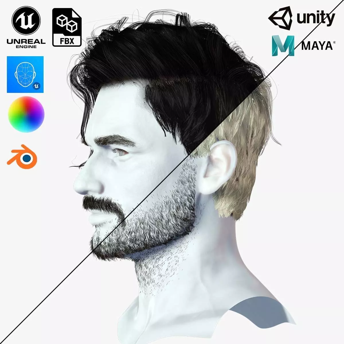 Realistic Hair Beard brows mustache p6 Low-poly 3D model_0