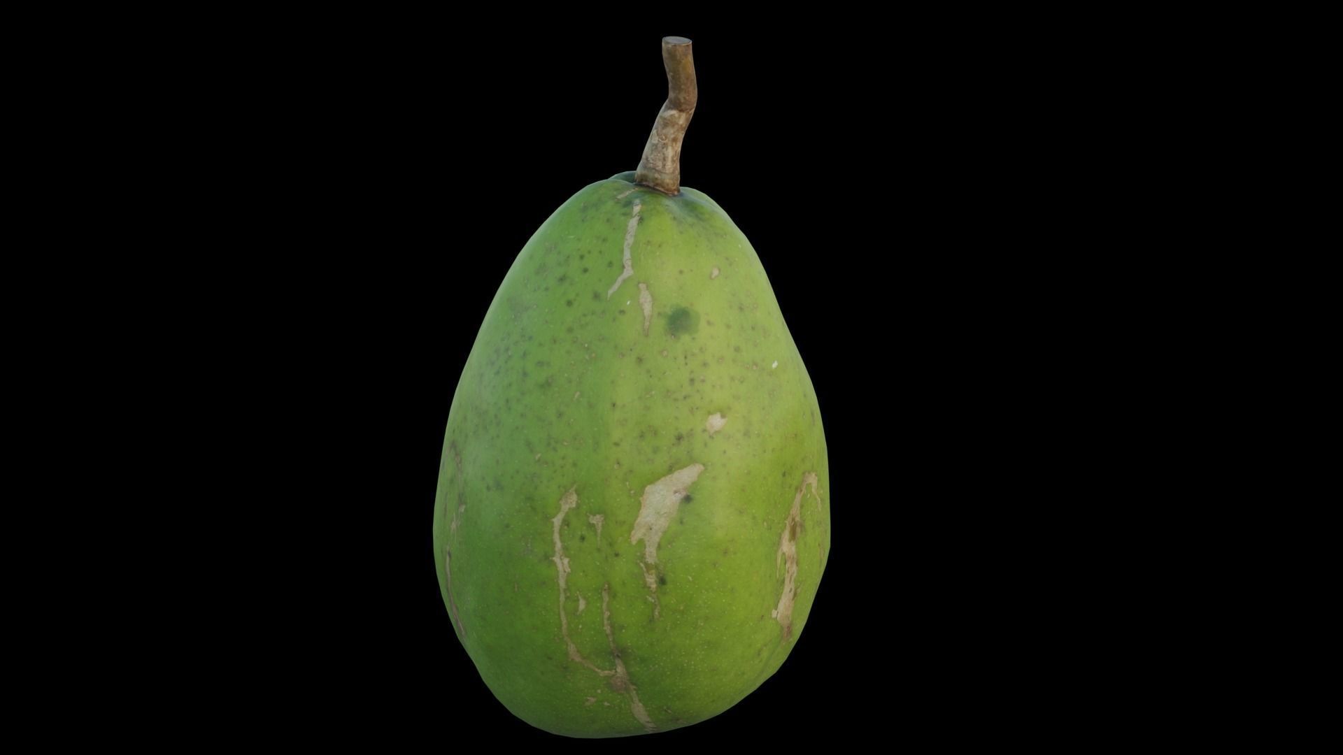 ambarella papaya fruit 3D model_9