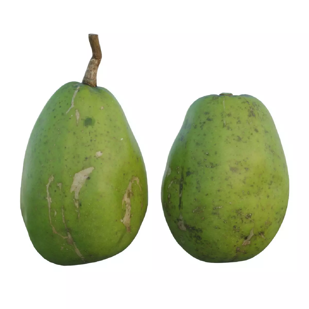 ambarella papaya fruit 3D model_0