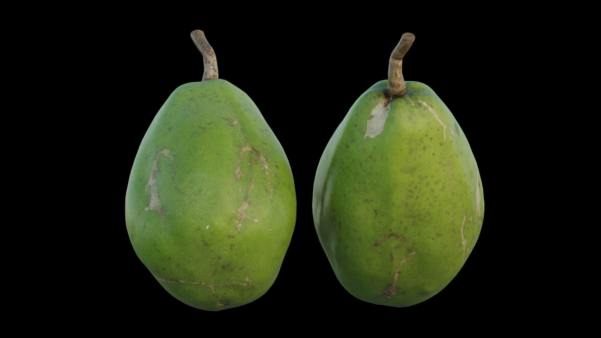 ambarella papaya fruit 3D model_12