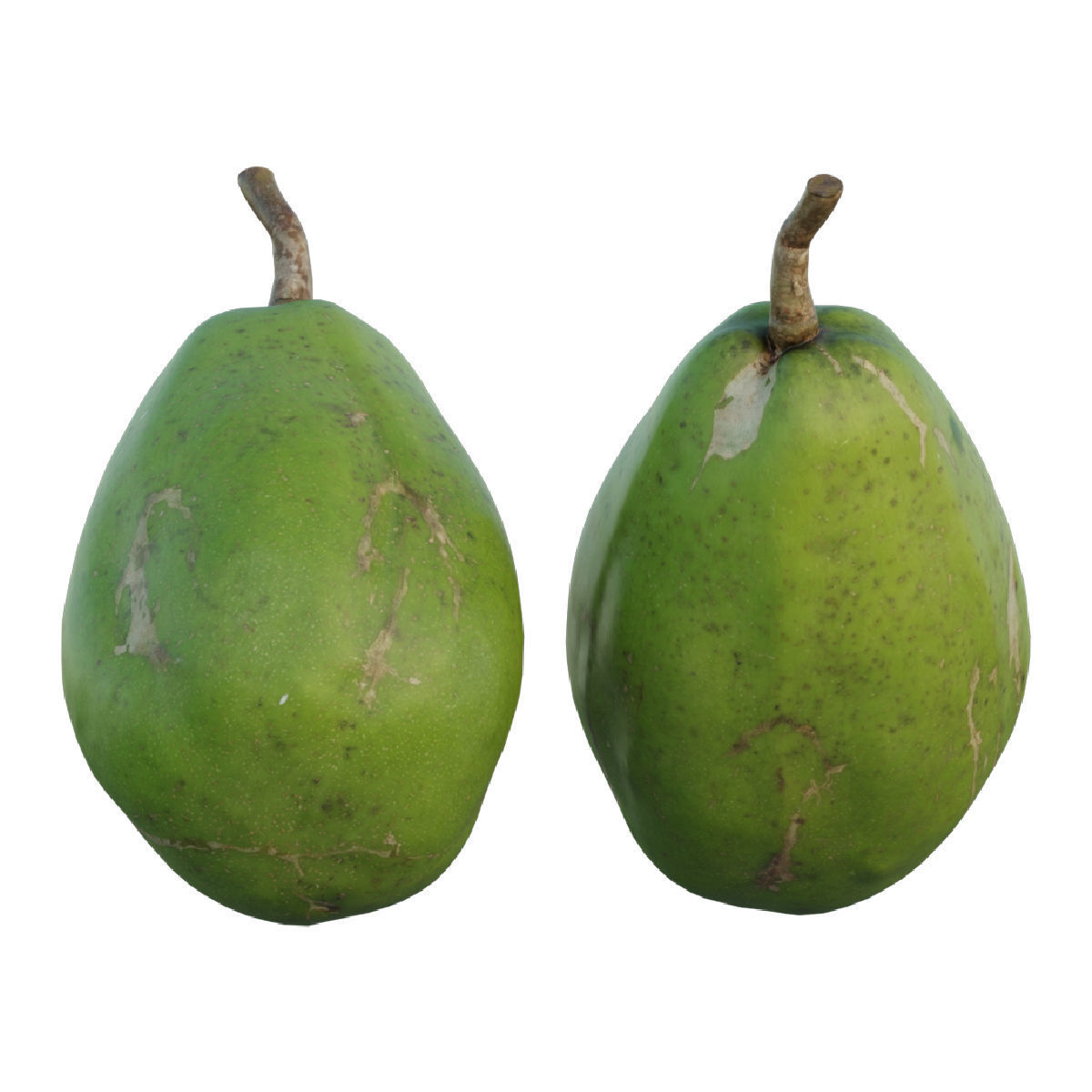 ambarella papaya fruit 3D model_2