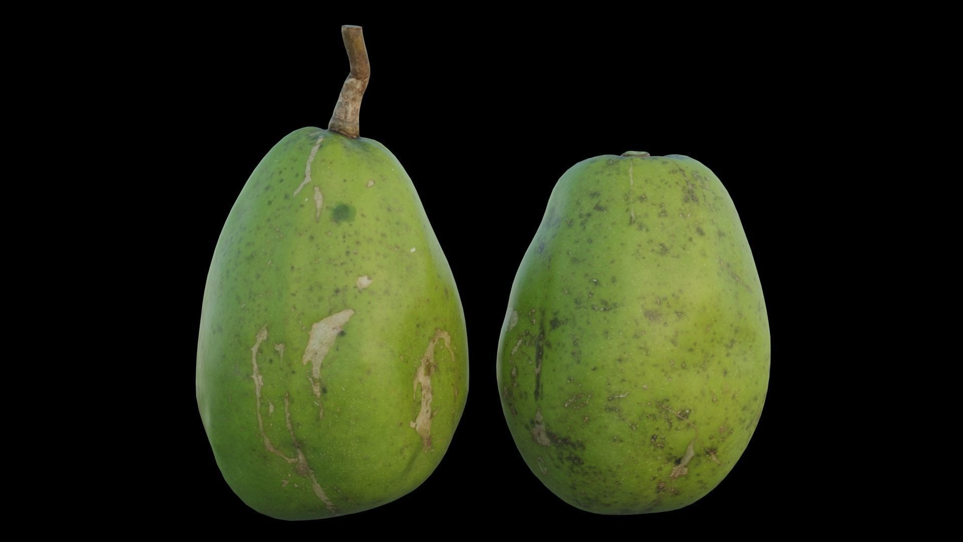 ambarella papaya fruit 3D model_7