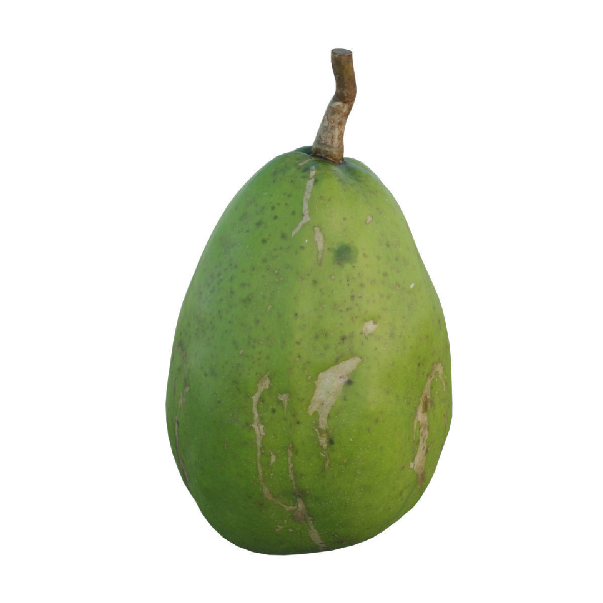 ambarella papaya fruit 3D model_5