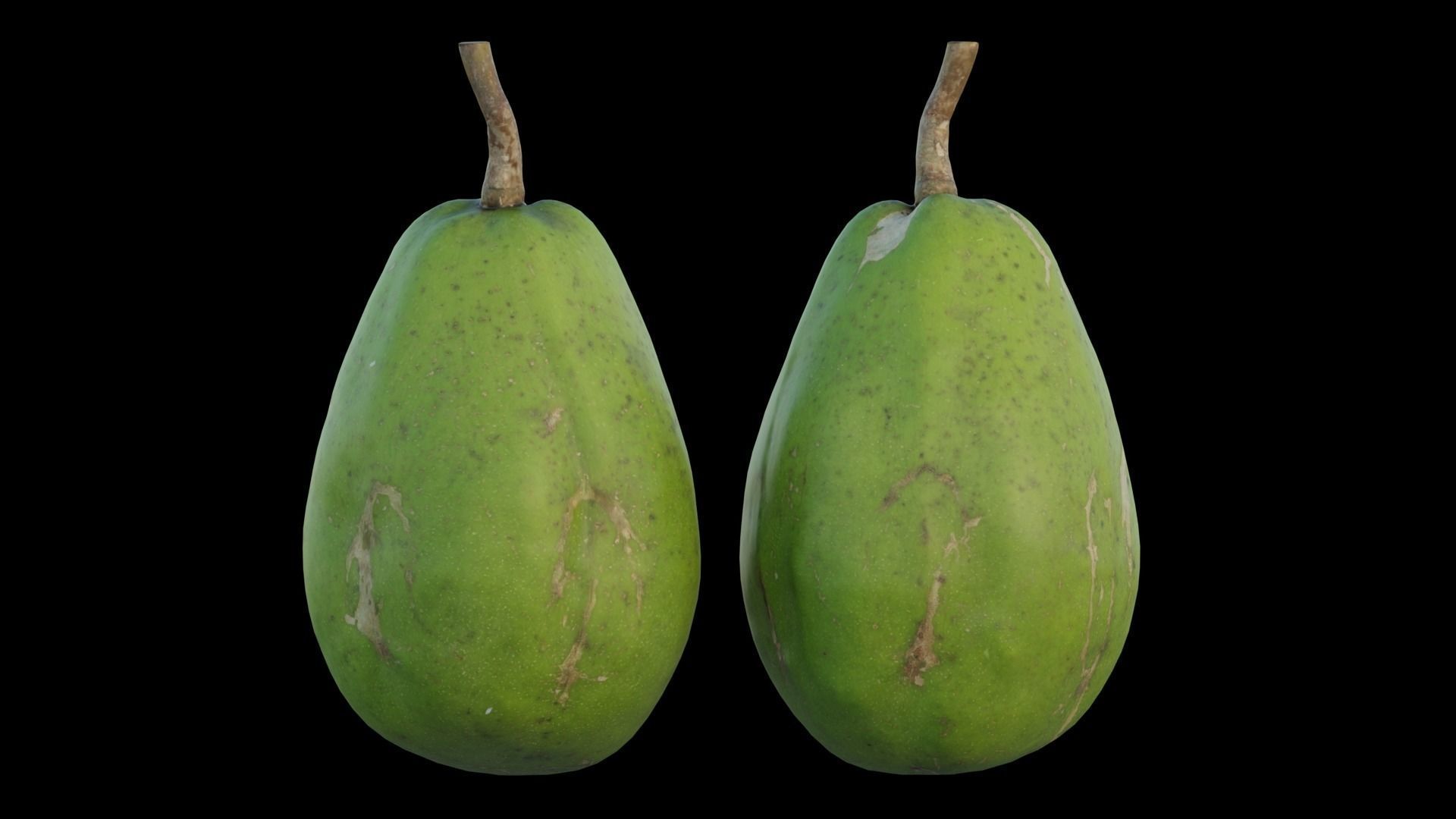 ambarella papaya fruit 3D model_11