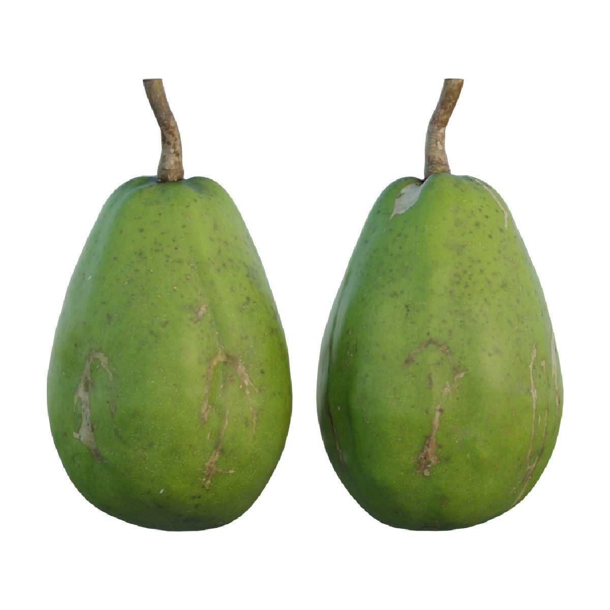 ambarella papaya fruit 3D model_1