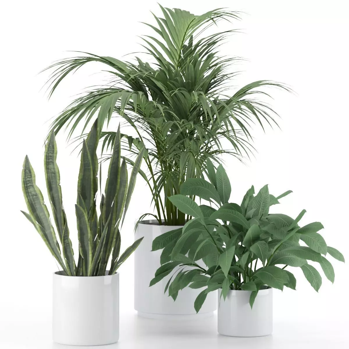 Plant-Set-Interior three potted plants 3D model