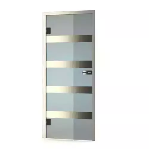 Modern Glass Door