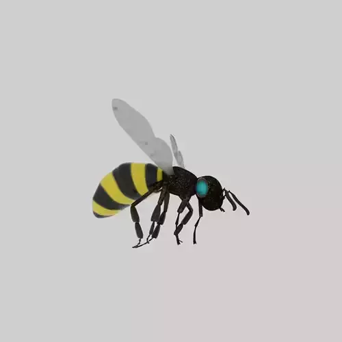 flying bee 3D model