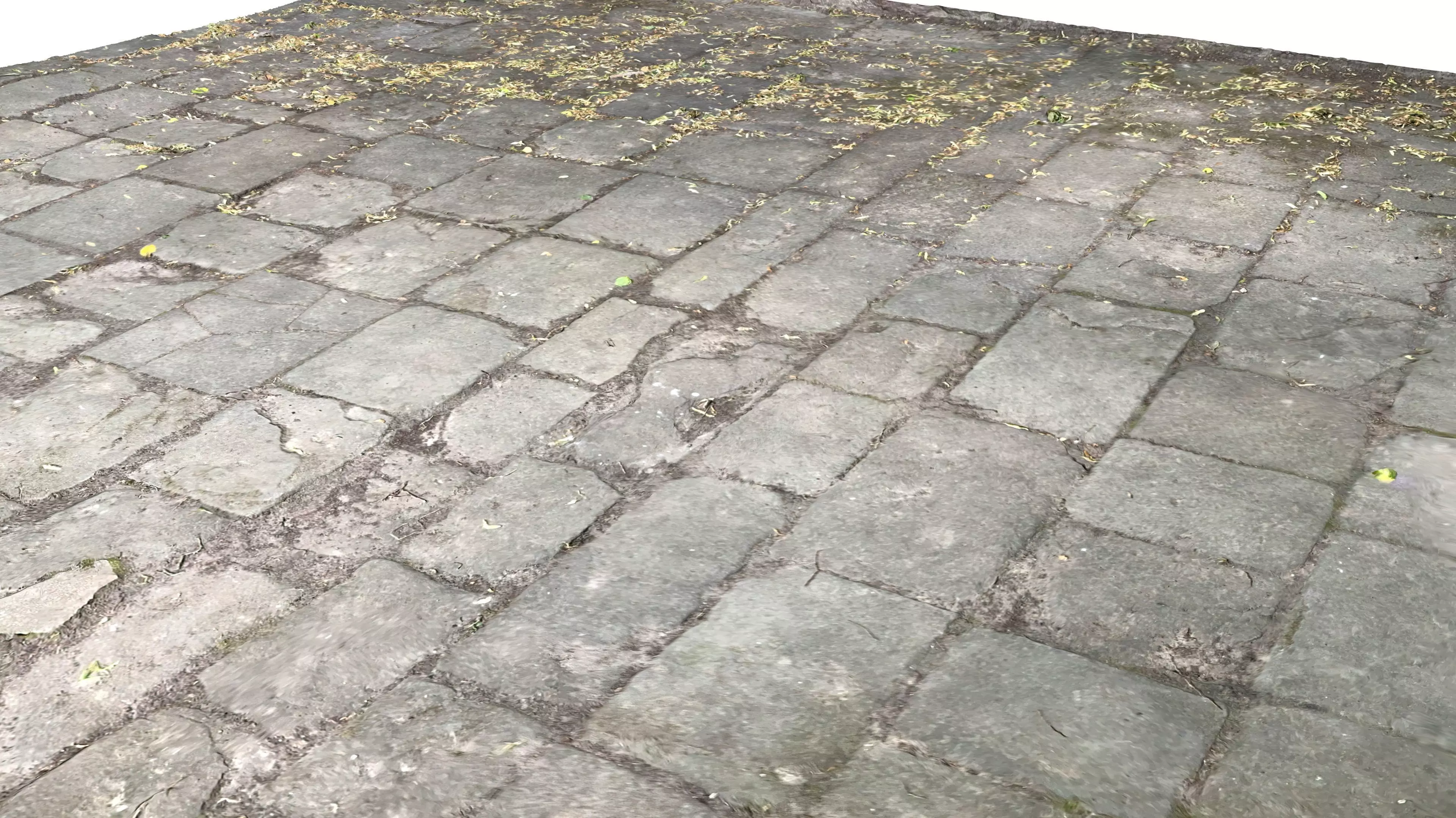 old church floor - 3d scan Free 3D model