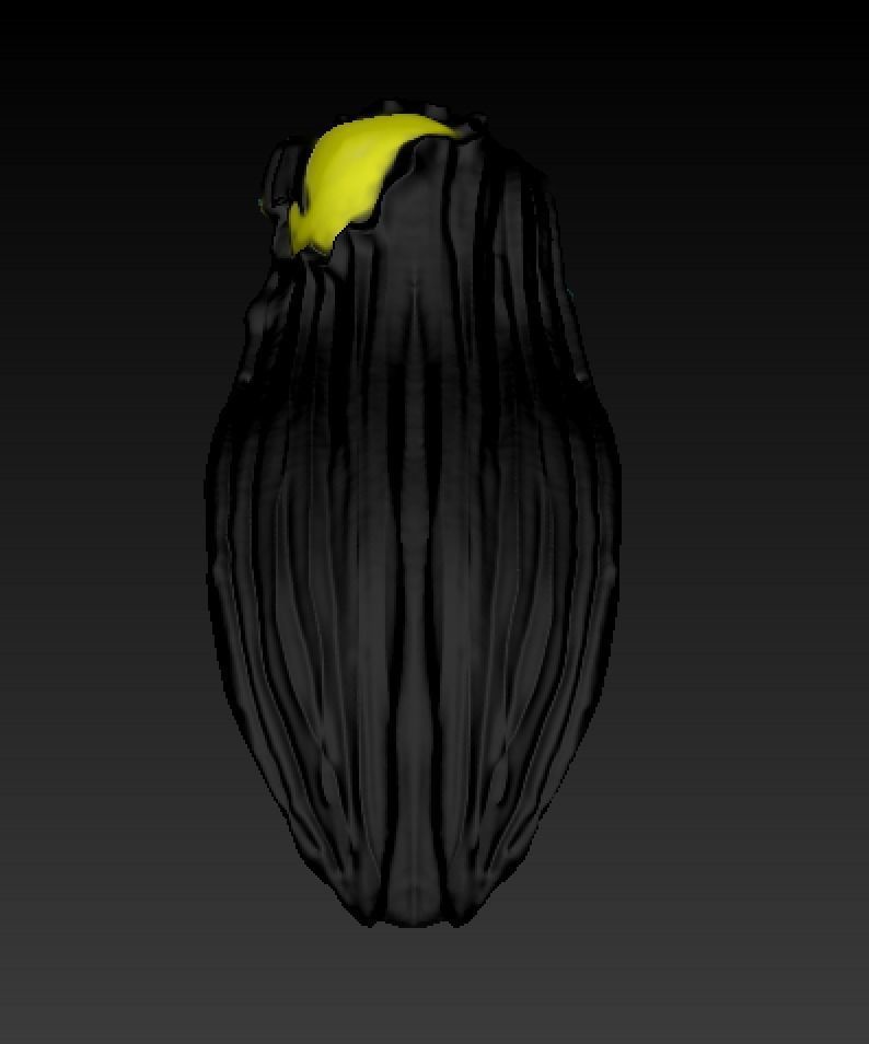 KELDOR TRANSFORMATION ORIGINS HEAD 3D print model_4