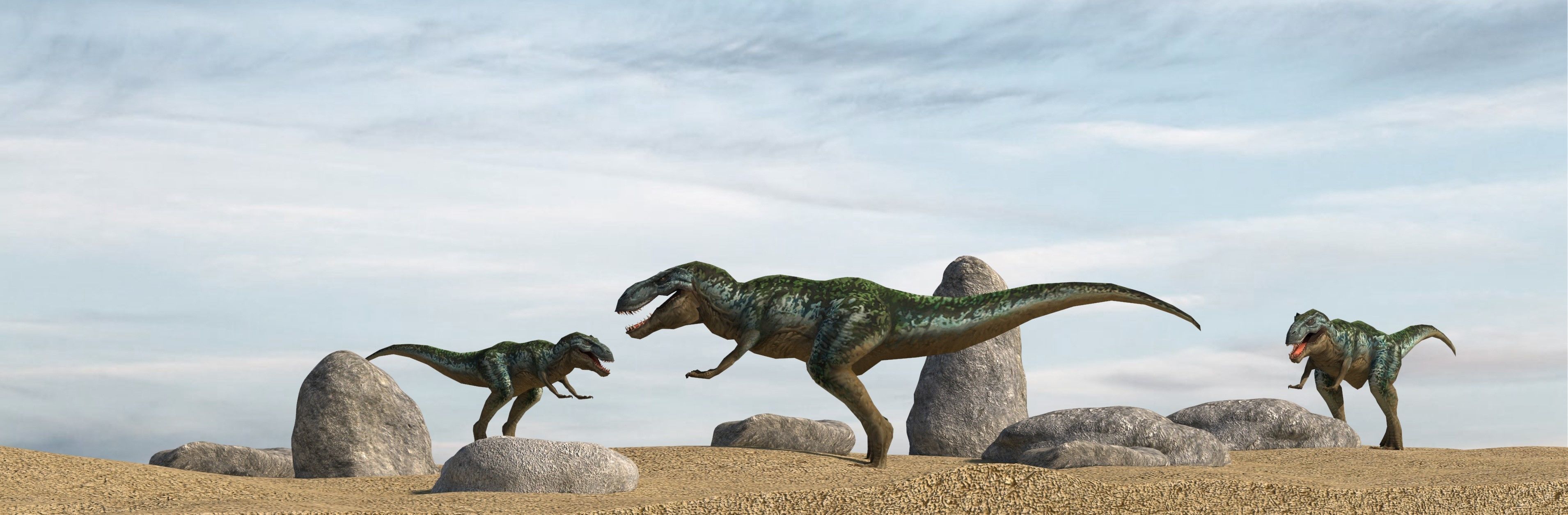 Tyrannosaurus Rex Dinosaur  Low-poly 3D model_2