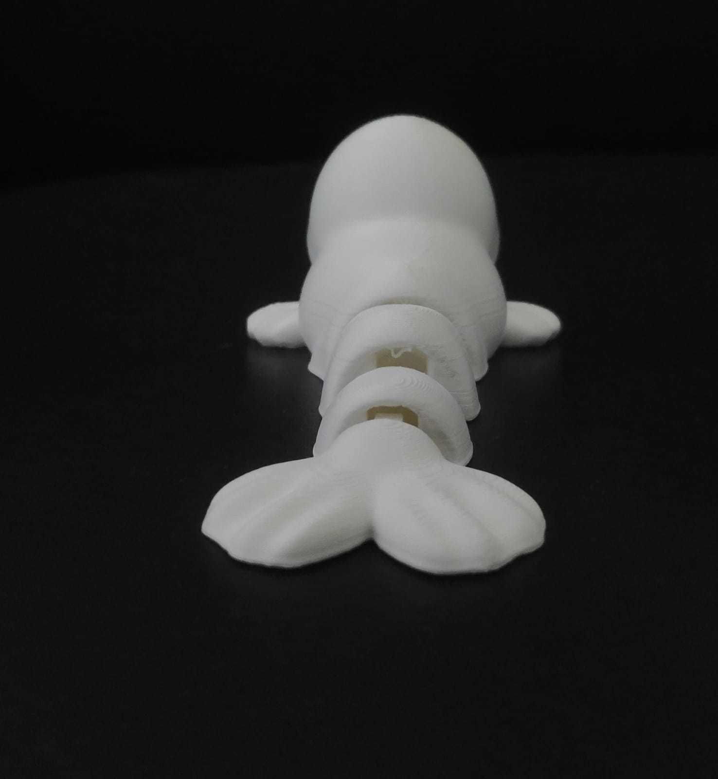 Flexi Walrus 3D print model_8