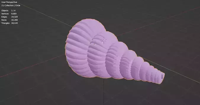 Seashell spiral shell