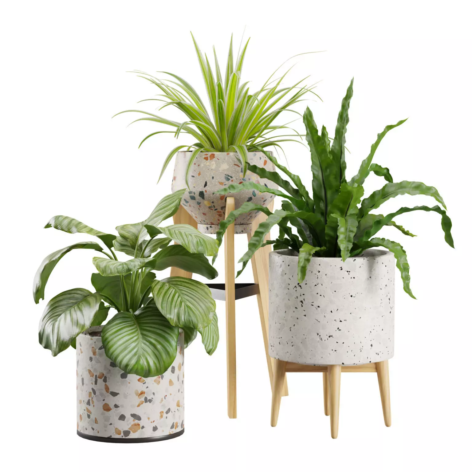 Indoor Plants Terrazzo Pack 3D model
