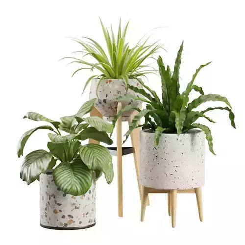 Indoor Plants Terrazzo Pack 3D model
