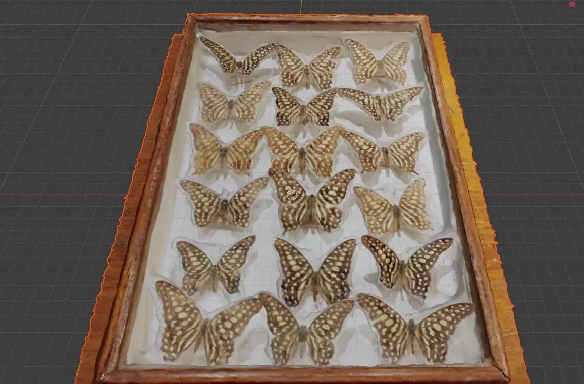 Butterflies in a frame Free low-poly 3D model