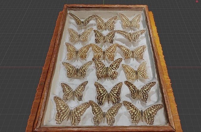 Butterflies in a frame Free low-poly 3D model
