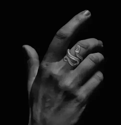 Snake ring 3d model for 3d printing 3D print model 3D print model
