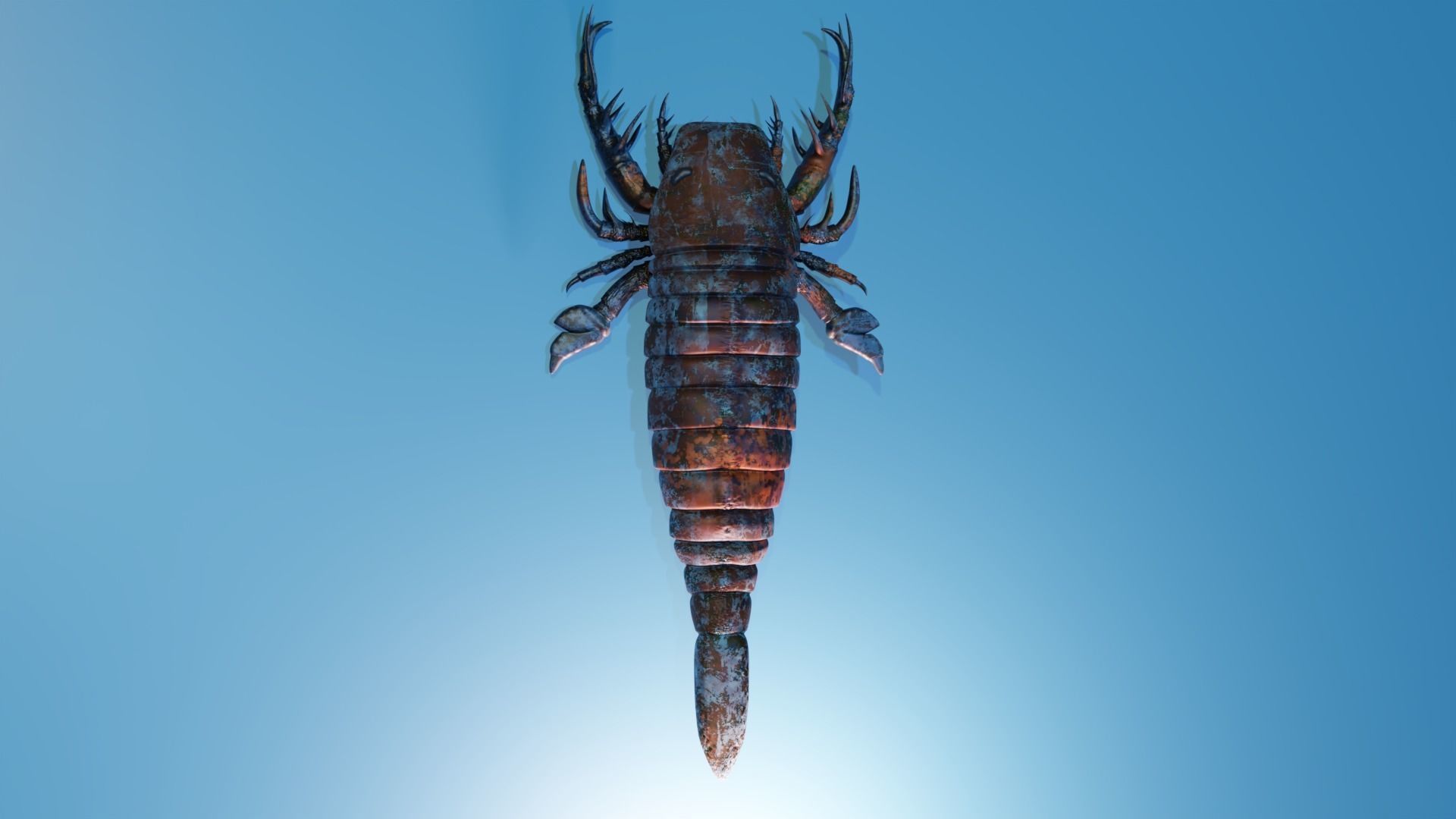 Pentecopterus scorpion Free low-poly 3D model_2